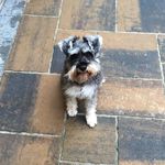 Janice Carruthers - @janice_carruthers - Instagram