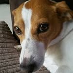 Janice Caton - @janice.caton.1 - Instagram