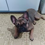 Janice Chaplin - @chaplin6970 - Instagram