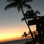 Janice Chaplin - @chaplin1968 - Instagram