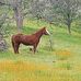 Janice Chute Kunkel - Facebook