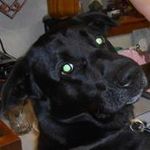 Janice Obie Clausen - @nana64now - Instagram