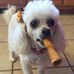Janice Fisher Myers Cloninger - Facebook