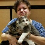 Janice Close - @closejan1 - Instagram