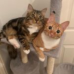 Janice Close - @janice.close.79 - Instagram