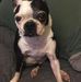 Janice Coble - Facebook