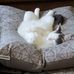 Janice Coles - Facebook