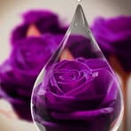 Janice Colley - Facebook