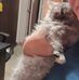 Janice Colson - Facebook