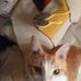 Janis Comstock - Facebook