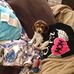 Janice Conover - Facebook