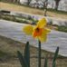 Janice Corrigan - Facebook