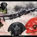 Janice Cousins - Facebook