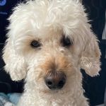 Janice Cramer - @janice.cramer.3 - Instagram