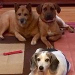 Janice Cramer - @cramer4223 - Instagram