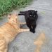 Janice Cullen - Facebook