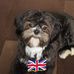 Janice Cullen Collyer - Facebook