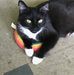 Janice Culp - Facebook
