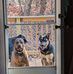 Janice Dellinger - Facebook