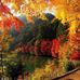 Janice Dixon - Facebook