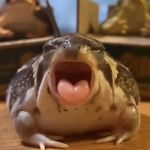 Janice 🐸 - @janice_does.art - Instagram