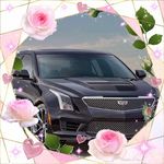 Janice Dotson - @jld1952 - Instagram