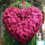 Janice Dotson - @janice.dotson.338 - Instagram