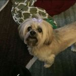 Janice Nana Dotson - @janicelee1217 - Instagram
