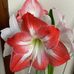 Janice Doty - Facebook