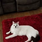 Janice Dow - @mackydow - Instagram