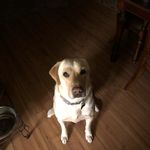 Janice Dow Scott - @janicedowscott - Instagram