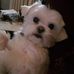 Janice Dower - Facebook