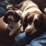 Janice Draycott - @janicedraycott - Instagram