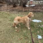 Janice Dreher - @janiceldreher - Instagram