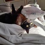 Janice Duff - @jduff2804 - Instagram