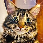 Janice Rogers Duff - @jrduff616 - Instagram