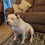 Janice Dupler - @pokiti4074 - Instagram