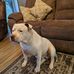 Janice Dupler - Facebook