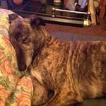 Janice Eaglesham - @janiceeaglesham - Instagram