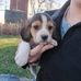 Janice Earll - Facebook