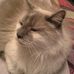 Janice Easterling - Facebook