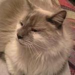 Janice Easterling - @easterlingjanice - Instagram