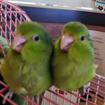 Janice Eckert - @4jnice - Instagram