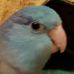 Janice Eckert - Facebook