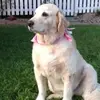 janiceeckert6 - @janiceeckert6 - TikTok