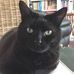 Janice Elizabeth Eddy - Facebook
