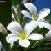 Janice Elmore - Facebook