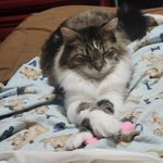 Janice DiAnne Engle - @rainbows74601 - Instagram