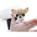 Janice Engle - Facebook