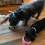 Janice Rennison Engle - @janicengle - Instagram
